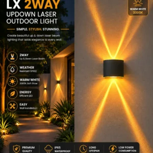 LX 2way laser outdoor light