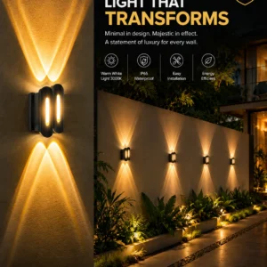 LX dual beam outdoor light