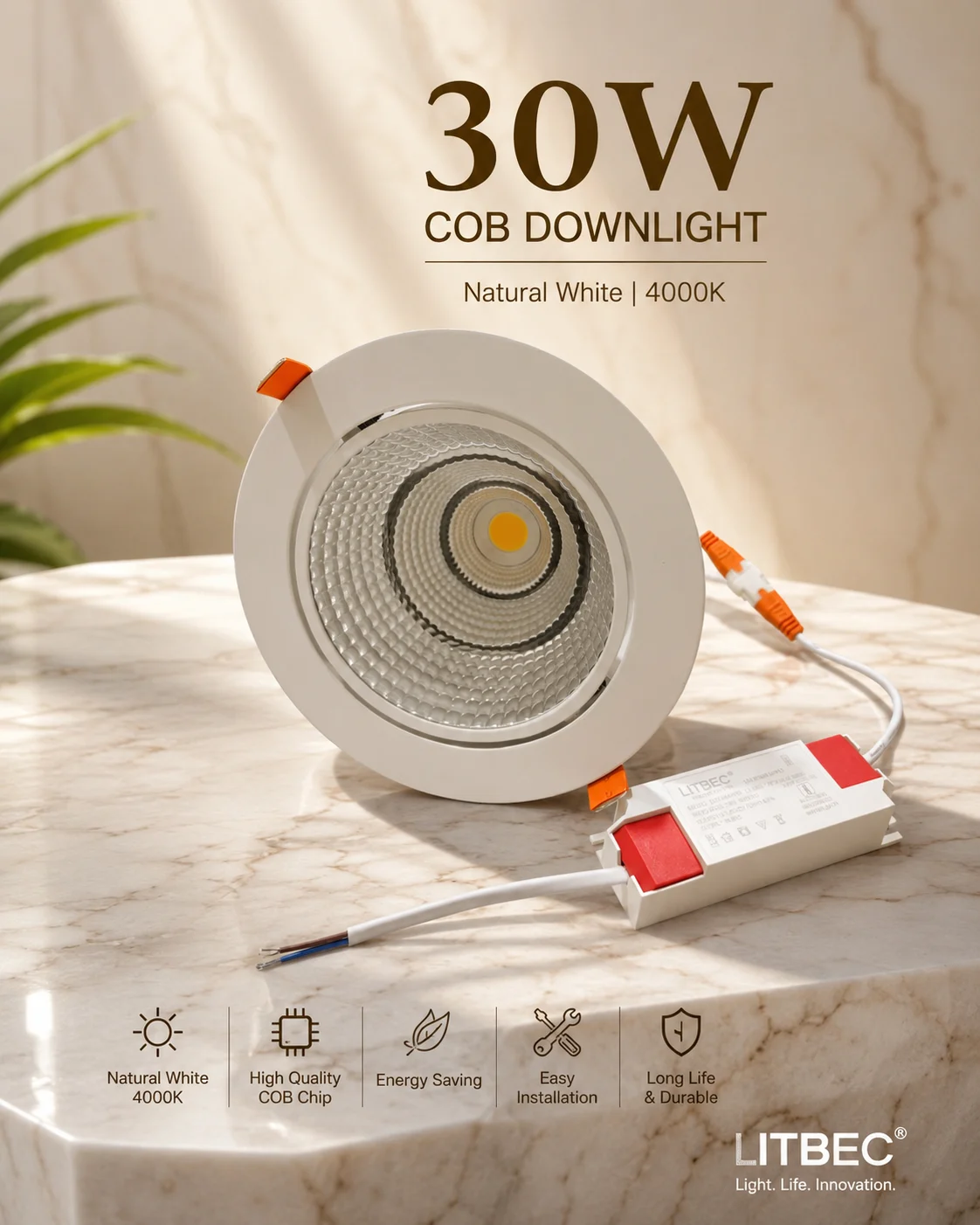 litbec 30w cob natural white